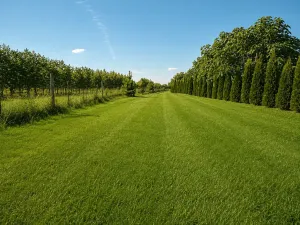 Prodej komerční nemovitosti, Pečky, 345 m2