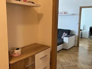 Pronájem bytu 2+kk, Brno, Ječná, 54 m2