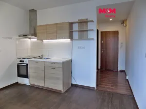 Pronájem bytu 2+1, Ústí nad Labem - Mojžíř, Picassova, 53 m2