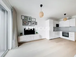 Pronájem bytu 2+kk, Praha - Vysočany, Ivana Hlinky, 52 m2