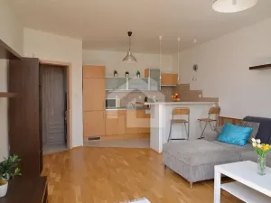 Pronájem bytu 1+kk, České Budějovice - České Budějovice 6, Jeronýmova, 38 m2