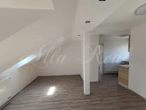 Pronájem bytu 2+1, Malhostovice, 53 m2