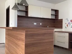 Pronájem bytu 4+kk, Chomutov, Dostojevského, 155 m2