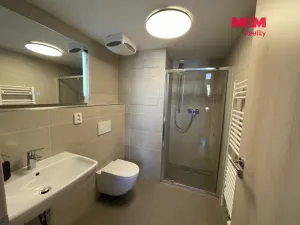 Pronájem atypického bytu, Hradec Králové - Kukleny, Pražská třída, 30 m2