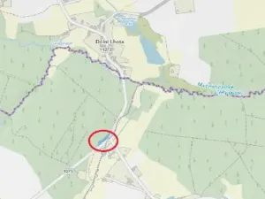 Prodej lesa, Lukavec, 1012 m2