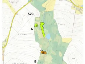 Prodej lesa, Lukavec, 1183 m2