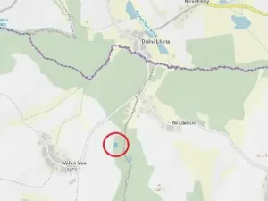 Prodej lesa, Lukavec, 1183 m2