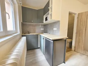 Pronájem bytu 1+kk, Praha - Břevnov, Pod Marjánkou, 15 m2