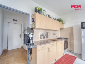 Prodej bytu 1+1, Plzeň - Jižní Předměstí, Čermákova, 36 m2