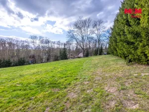 Prodej pozemku pro bydlení, Velká Bukovina, 4466 m2