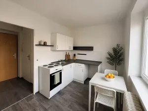 Pronájem bytu 1+1, Litvínov, Podkrušnohorská, 30 m2