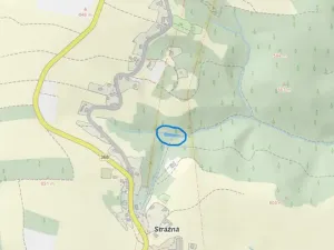 Prodej lesa, Strážná, 615 m2