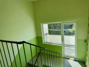 Prodej bytu 2+1, Cheb, Americká, 58 m2