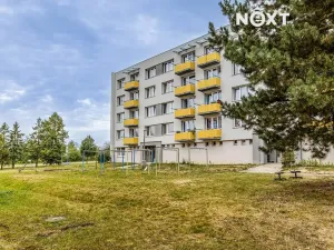 Prodej bytu 2+1, Veselí nad Lužnicí, Pod Markem, 61 m2