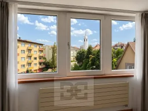 Pronájem rodinného domu, Brno, Březinova, 362 m2
