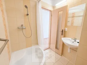 Pronájem bytu 1+1, Vyškov, Sportovní, 36 m2