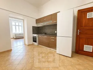 Pronájem bytu 2+1, Prostějov, Vodní, 60 m2