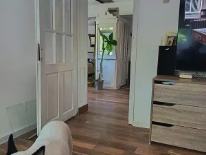 Prodej rodinného domu, Nova Kamena, Bulharsko, 80 m2