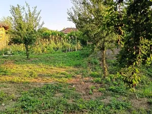 Prodej rodinného domu, Nova Kamena, Bulharsko, 80 m2