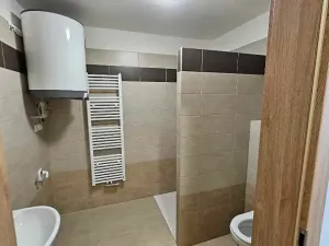 Pronájem bytu 1+kk, Chlumec nad Cidlinou, 45 m2