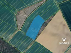 Prodej podílu pole, Zlobice, 481 m2