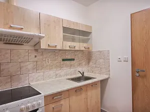 Pronájem bytu 1+kk, Chyňava, Za Humny, 26 m2