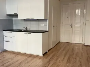 Pronájem bytu 1+kk, Praha - Nové Město, Na bojišti, 22 m2