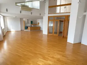 Pronájem bytu 5+kk, Praha - Vinohrady, Mánesova, 300 m2