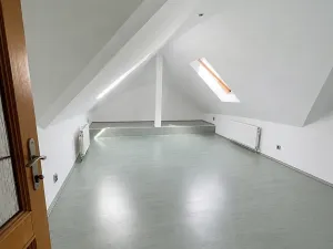 Pronájem bytu 5+kk, Praha - Vinohrady, Mánesova, 300 m2