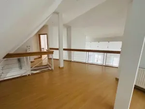 Pronájem bytu 5+kk, Praha - Vinohrady, Mánesova, 300 m2