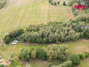 Prodej lesa, Rodná, 281 m2