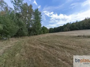 Prodej pozemku pro bydlení, Merklín, 1032 m2