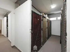 Prodej bytu 2+1, Brno, náměstí SNP, 55 m2