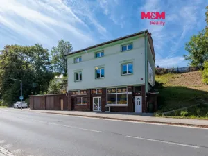 Prodej rodinného domu, Aš, Saská, 300 m2
