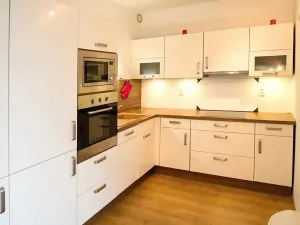 Pronájem bytu 2+kk, Brno, Purkyňova, 54 m2