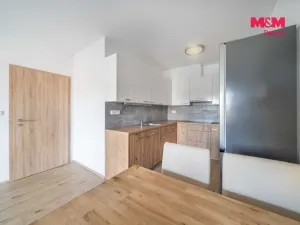 Prodej bytu 2+kk, Třemošná, Školní, 50 m2