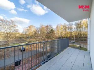 Prodej bytu 2+kk, Třemošná, Školní, 50 m2