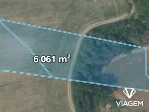 Prodej pole, Nelahozeves, 6061 m2