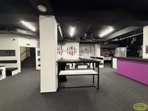Pronájem komerční nemovitosti, Kroměříž, Křižná, 250 m2