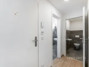 Pronájem bytu 3+kk, Praha, 66 m2