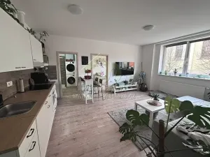 Pronájem bytu 3+kk, Radnice, náměstí Kašpara Šternberka, 53 m2
