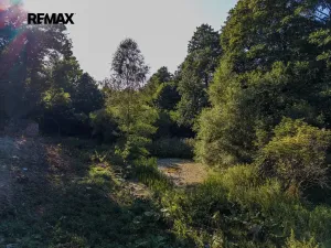 Prodej rodinného domu, Červená Voda, 440 m2