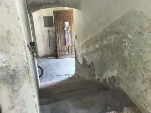 Prodej podílu vícegeneračního domu, Olšany, 831 m2