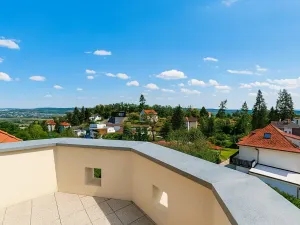 Pronájem rodinného domu, Černošice, 356 m2