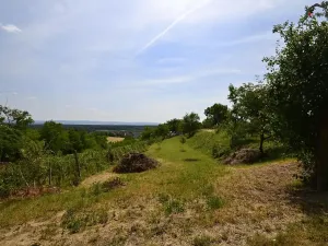 Prodej sadu/vinice, Bzenec, 2460 m2