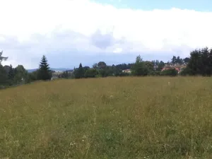 Dražba pole, Staré Buky, 10957 m2