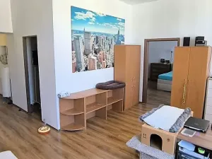 Prodej bytu 3+1, Cheb, Karlova, 126 m2