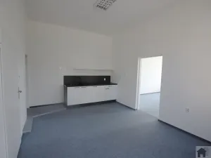 Prodej obchodního prostoru, Liberec, Londýnská, 1163 m2