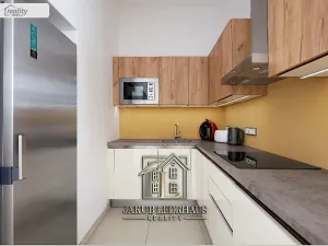 Prodej bytu 2+kk, Praha - Staré Město, Hradební, 51 m2