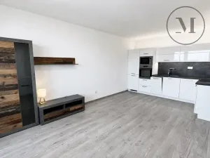 Pronájem bytu 2+kk, České Budějovice, Dlouhá, 43 m2